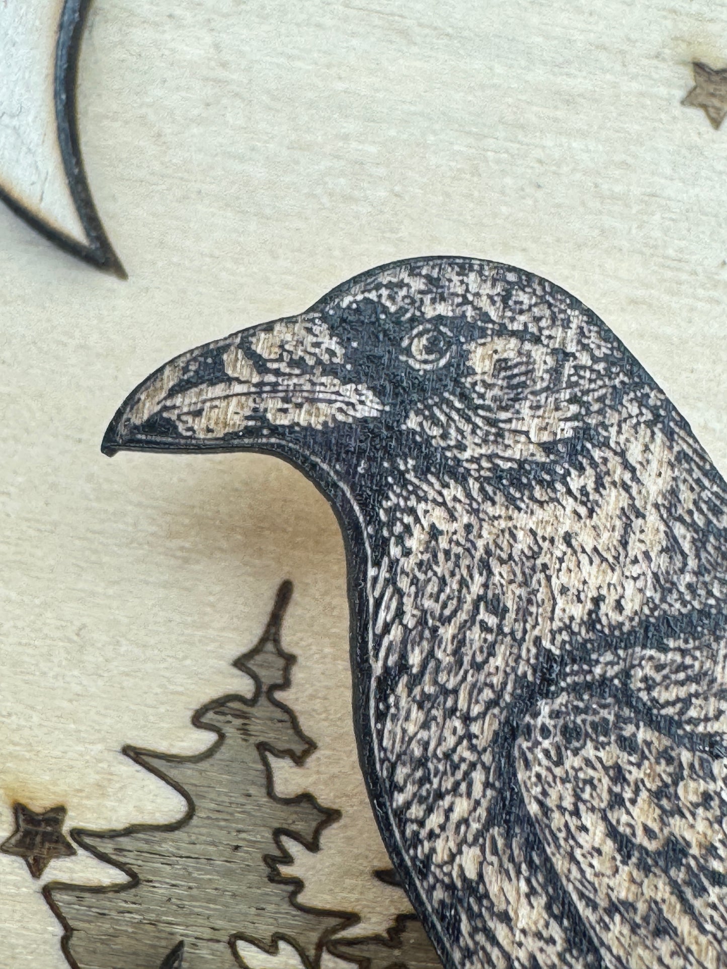 Where Ravens Watch
